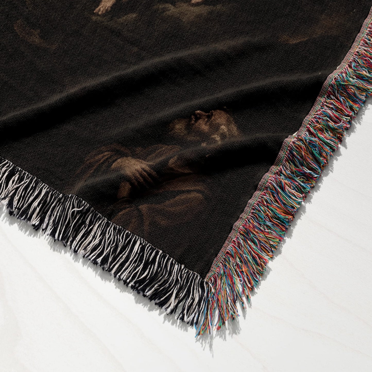 Woven blanket with colorful fringed edge and a dark, classic art print.